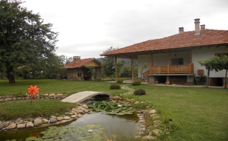 Елена