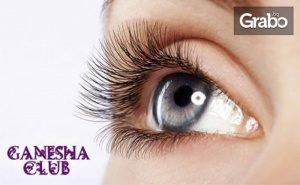 Терапия за мигли Lash Lift с ламиниране и подхранване