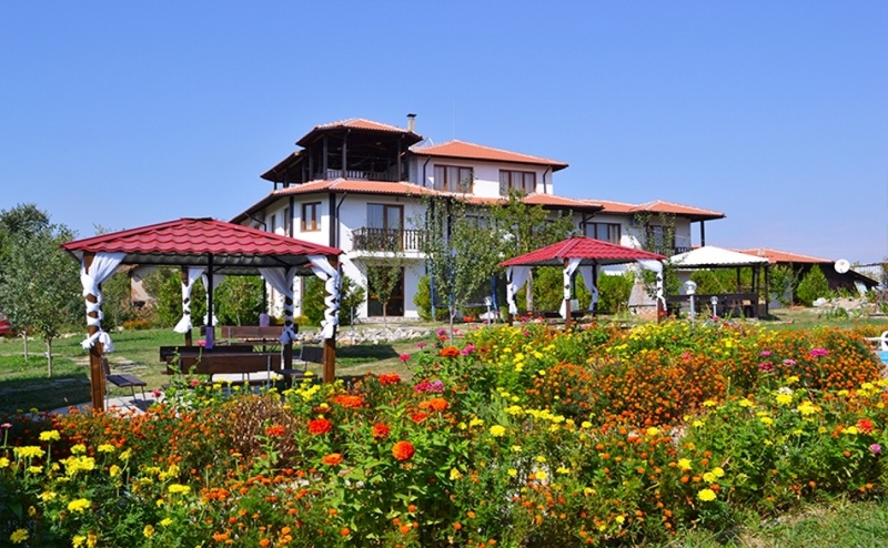 Луковит