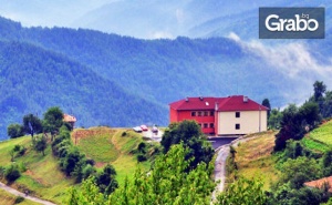 Коледа в Родопите! 2 или 3 Нощувки със Закуски и Вечери, Две от Които Празнични - в с. Вишнево