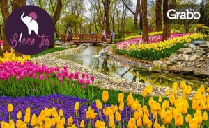 До Истанбул за Фестивала на Лалето! 2 Нощувки със Закуски в Хотел 5*, Плюс Транспорт от София и Посещение на Одрин