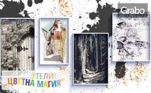 Уоркшоп по графика - графична рисунка, рисуване с туш и перо или линогравюра, плюс чаша вино