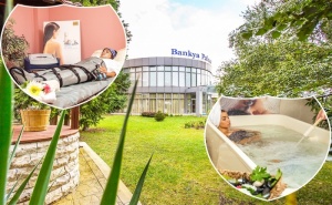 1, 2, 3 или 6 Нощувки на човек със Закуски и Вечери + 2 Процедури на Ден и Уелнес Пакет в Банкя Палас****, гр. Банкя