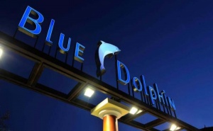 Почивка в Халкидики, Ситония- Хотел Blue Dolphin за Една Нощувка на човек със Закуска и Вечеря, Басейн с Чадъри и Шезлонги и Безплатен Паркинг /01.07.2021 г - 09.07.2021 г. или 24.08.2021 г. ...