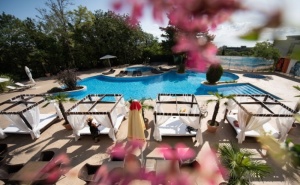 Нощувка на човек на База Ultra All Inclusive + Басейн, Чадър и Шезлонг на Плажа от Хотел Аполо Спа Ризорт, <em>Златни Пясъци</em>. Дете до 11.99Г. Безплатно!
