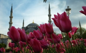 Фестивал на Лалето 2024Г. в <em>Истанбул</em>! Транспорт + 2 Нощувки със Закуски на човек + Панорамна Обиколка на Града от Та Роял Холидейз